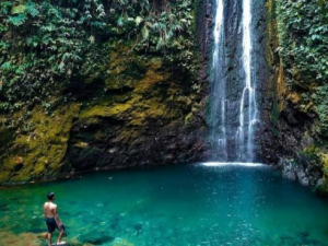 Mengenal Lebih Dekat Objek Wisata di Puncak Bogor